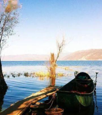 普达措森林公园游记图文-走遍云南各地，带你看最美的风景（邂逅丽江，大理，香格里拉）
