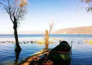 双廊镇游记图文-走遍云南各地，带你看最美的风景（邂逅丽江，大理，香格里拉）