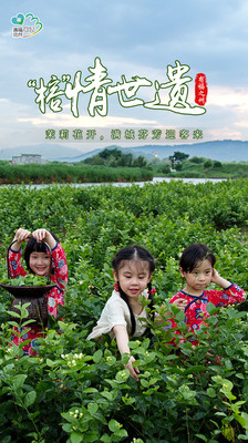 福州 | “榕”情世遗：茉莉花开，满城芬芳迎客来！
