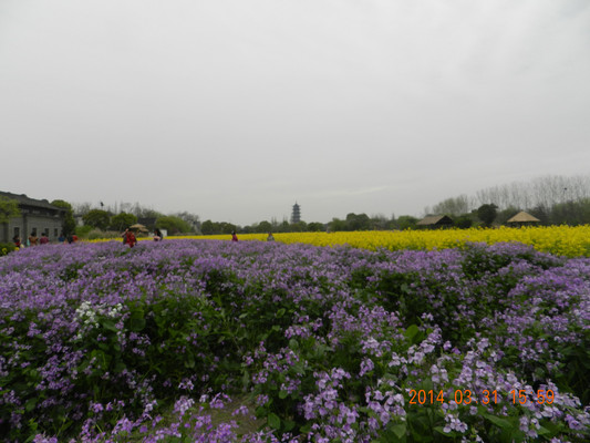 浙江嘉兴乌镇古镇西栅景区游记(之二)
