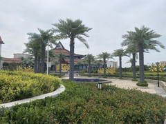 德州游记图片] 济南旅游--济南周边带娃爱住亲子酒店