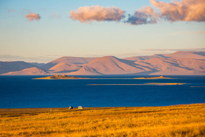 措勤游记图文-避开扎日南木错备受诟病的观景台，绕小路到湖边，草原、野生动物更多彩