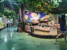 苏州海洋馆-苏州-C-IMAGE