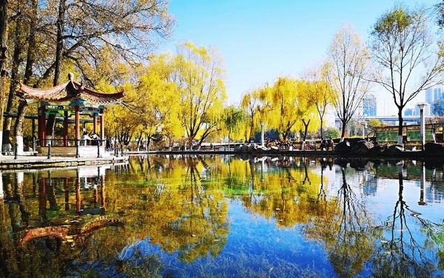 麒麟湾公园旅行图片 3