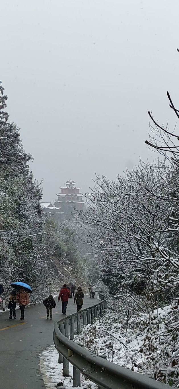 太阳山旅行图片 15