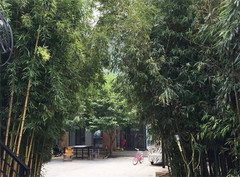 北京游记图片] 北京房山十渡京山渡居民宿，竹林里的经典三合院，京城独一无二！
