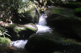 炎炎夏日,赴一场山水之约——陕西镇安木王山国家森林公园散记