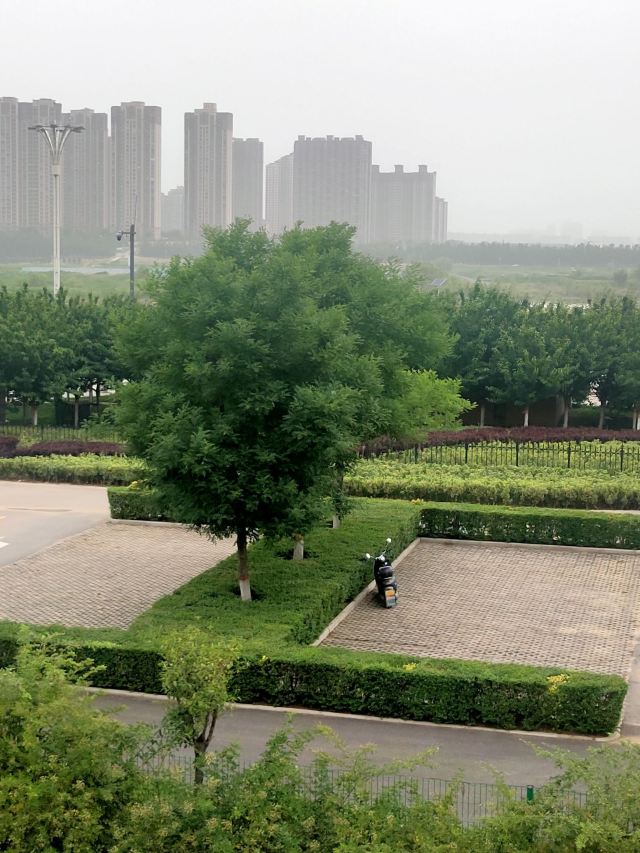 灞渭生态滩区旅行图片 2