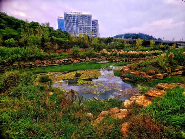 贵阳市森林公园旅行图片 1