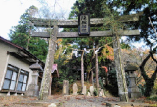 染殿神社景点图片
