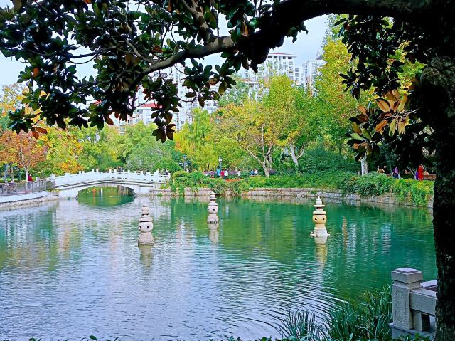 闸北公园旅行图片 3