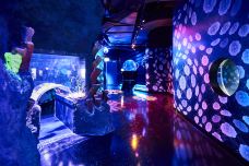 墨尔本水族馆-墨尔本