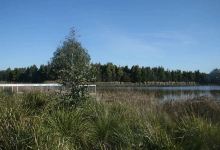 Koolamara Water Reserve景点图片