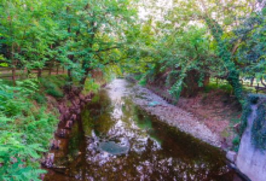 九峰公园景点图片