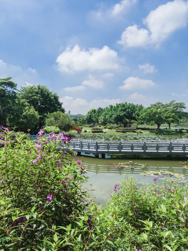 东莞植物园