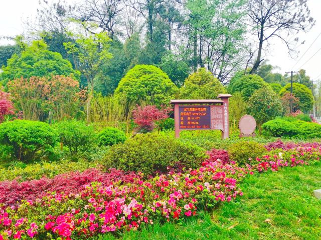 长坡岭国家森林公园旅行图片 6