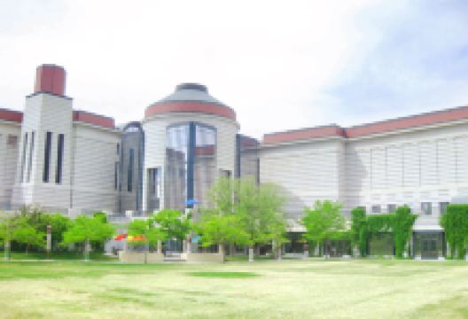 Minnesota History Center景点图片