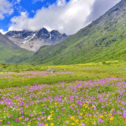 成都+四姑娘山景区+康定木格措景区+墨石公园景区+鱼子西+甲居藏寨7日6晚私家团