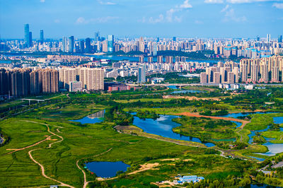 洋湖湿地公园