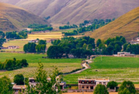 八美镇景点图片