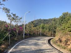 天鹿湖森林公园-广州-真诚7577