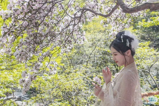 探索神奇的北纬三十度线上的安吉浙北大峡谷