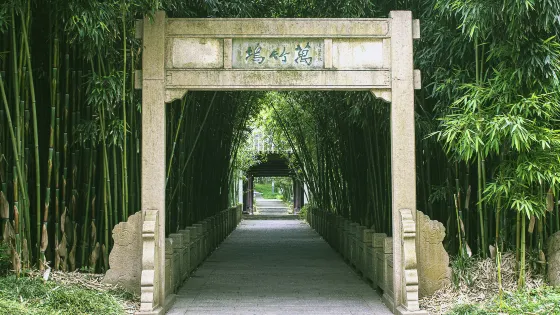 萬竹塢