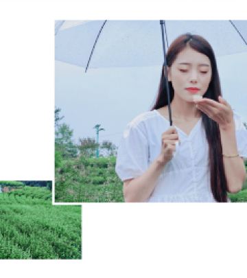 旺苍游记图文-广元旺苍，魅力茶乡的诗与远方