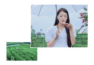 广元旺苍，魅力茶乡的诗与远方