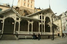 市场温泉回廊-卡罗维发利-喜欢猫的虎