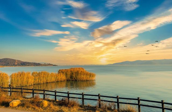 還有半個月，太湖邊的這片最美秋色藏不住了。