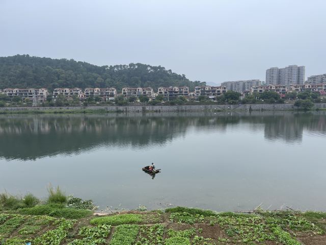 南华禅寺旅行图片 3