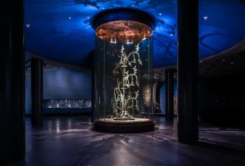 成都大熊猫繁育研究基地+三星堆博物馆一日游【包车一日游】【专业致力于精品舒适团，专属于您的私人定制】