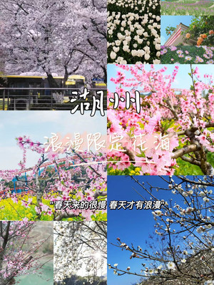 湖州花海|小众绝佳赏花密地