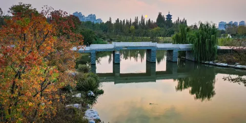 桃花島公園