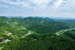乡游黔中·玉屏县 瓮阳村丨青山似屏，灼灼桃花，片片芳菲