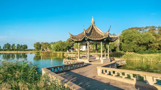龍鳳公園