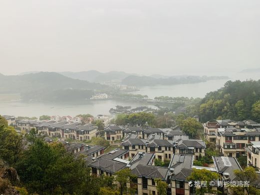 白石仙枰