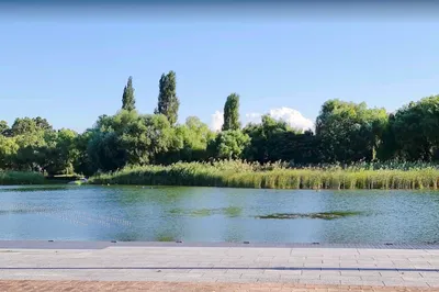 Peace Park