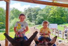 Smithills Open Farm景点图片