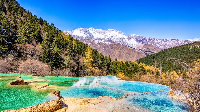 3-Day Sichuan Private Tour from Chengdu· Chengdu Research Base of Giant Panda, Jiuzhaigou, Huanglong Scenic Area