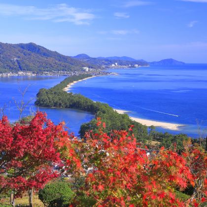 日本大阪+京都+奈良+天桥立5日4晚拼小团