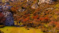 阿坝州纳摩大峡谷-若尔盖