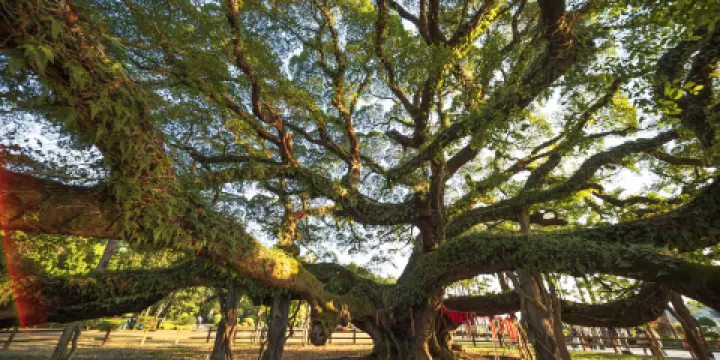 福州國家森林公園