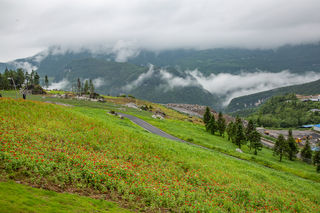 武隆仙女山藏了个懒坝，山间云海美如画，风景秒杀国外庄园！