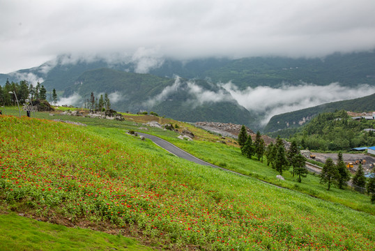 武隆仙女山藏了个懒坝，山间云海美如画，风景秒杀国外庄园！