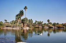 蒲石河森林公园-凤城-小凌60