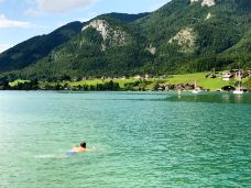 沃尔夫冈湖-圣吉尔根-梅理熊