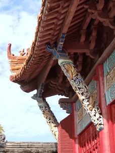 蒙城文庙-蒙城-大松树叶子