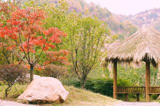 游太行山脉,赏金秋森林步道奇景